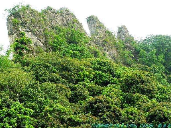 雞冠山石灰岩