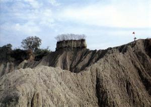 嶺口礫岩交角不整合